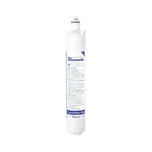Ice Machine Water Filtration available from Rodway Supply.